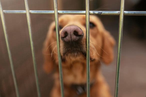  画像はイメージです