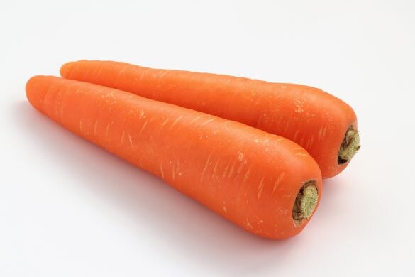  写真はイメージです