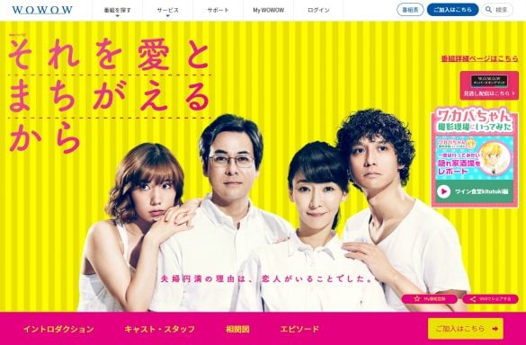  連続ドラマW『それを愛とまちがえるから』（WOWOW）※公式サイトより