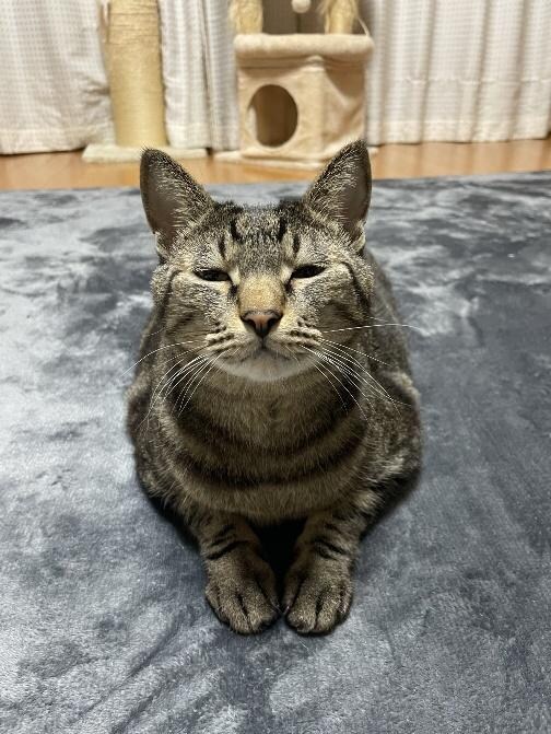 リュウくん　おかえりなさいの顔