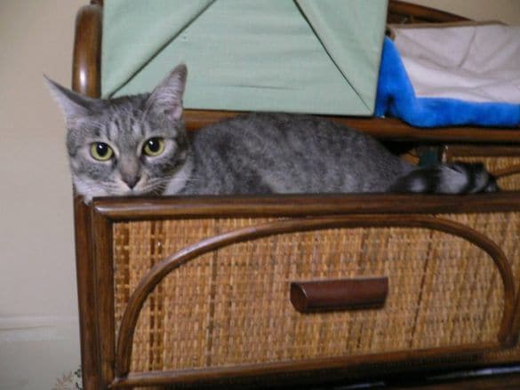  出会った時は、2歳だった