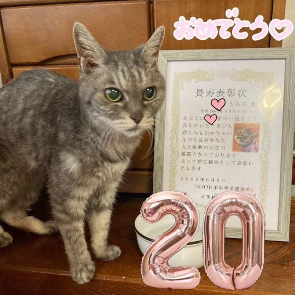 20歳の誕生日に撮影した写真