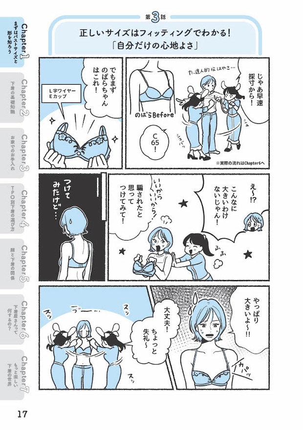  『悪いのはスタイルじゃなくて下着でした 一生モノの下着の教科書』（著者／ちーちょろす・漫画／oomisoka1231）