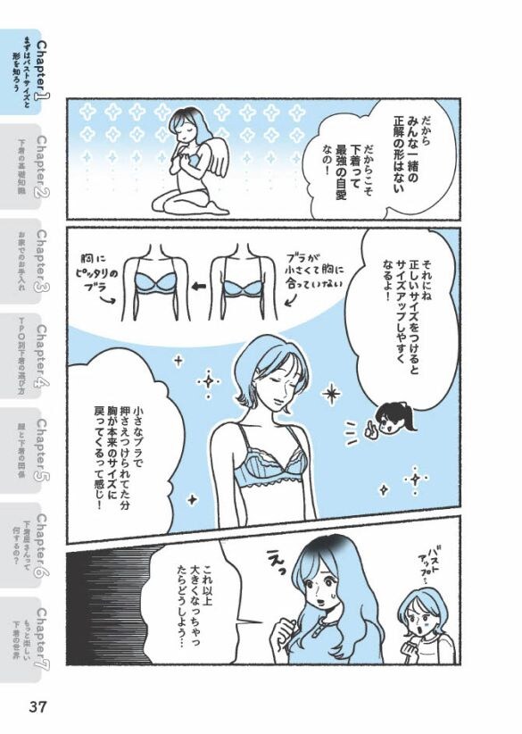 『悪いのはスタイルじゃなくて下着でした 一生モノの下着の教科書』(著者/ちーちょろす・漫画/oomisoka1231)