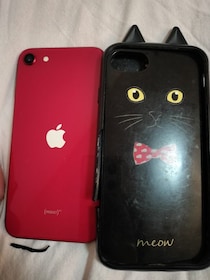 36歳・元『渡鬼』子役がスマホを5年以上使うためにやっている“たった1つのこと”「自転車で2回轢いたこともあるけど…」