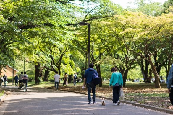  画像はイメージです（以下同）