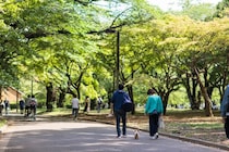 「いつも男性からフェードアウトされる」36歳女性。出会いの最初に繰り返していた“致命的な失敗”とは？