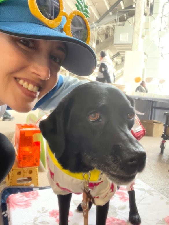  愛犬リリーではなく、ファイターズ「ワンだふるフェスティバル2026」北海道盲導犬協会さまのブースで出会ったPR犬の黒ラブさん