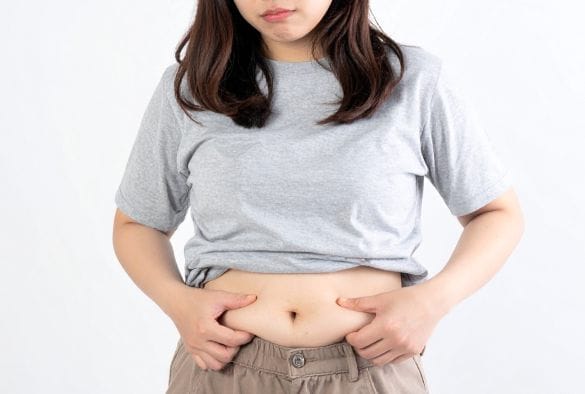  画像はイメージです（以下同）