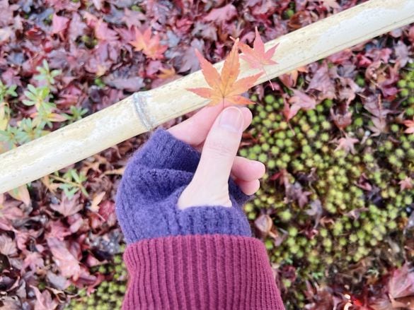 スフレヤーンニット アームウォーマー