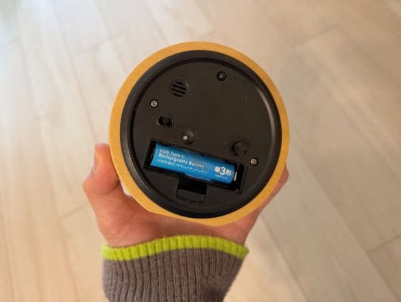 ダイソー「Type-C充電池」