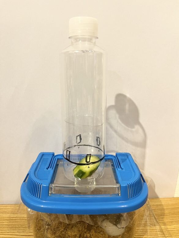  穴をクローズした状態の2号機