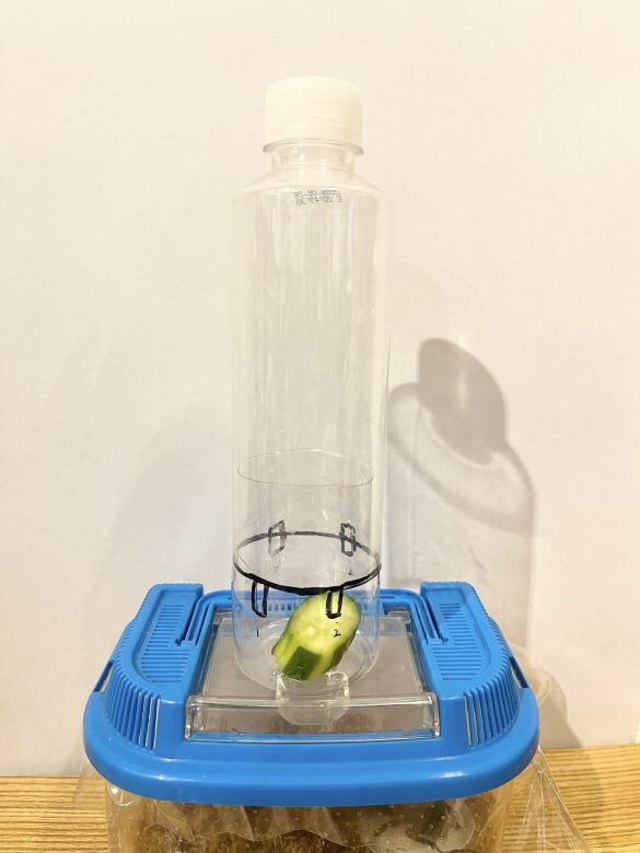  穴をオープンしている状態の2号機