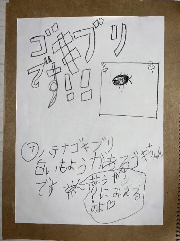  ゴキブリにはいろんな種類がいる