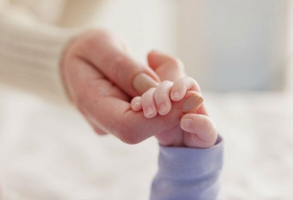  画像はイメージです（以下同）