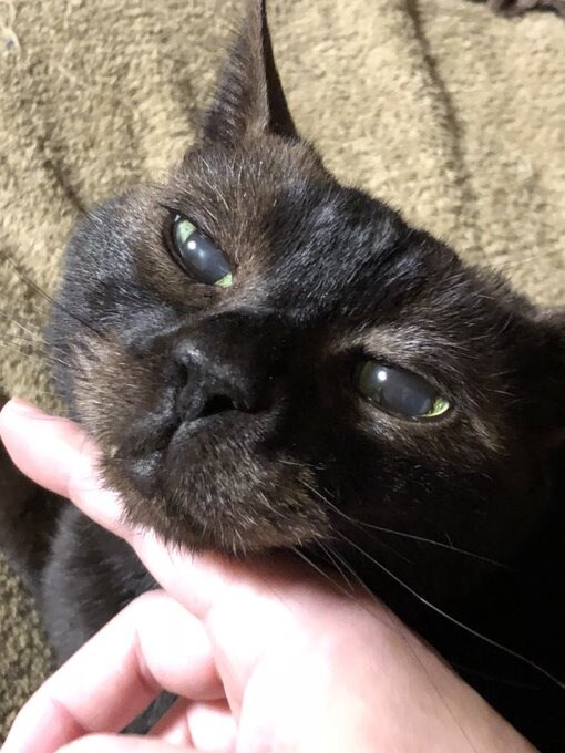  治療のため、4ヶ月ほど病院通いをした