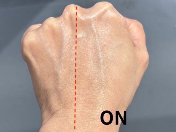 バイユア セラムフィット フルカバー グロークッション V2