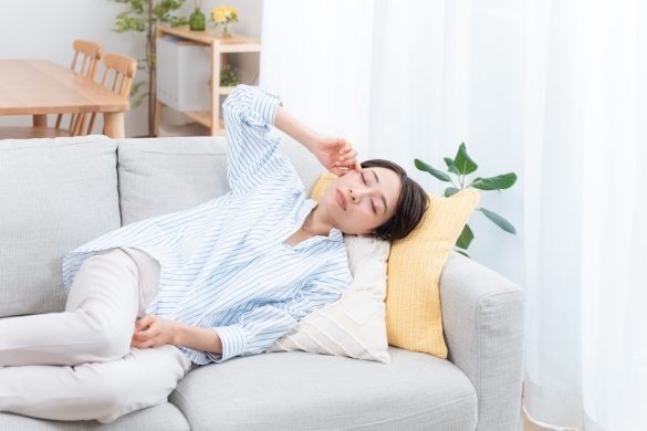  画像はイメージ（以下、同じ）