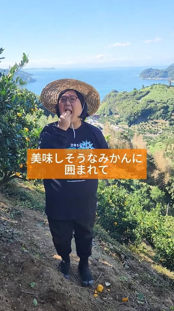  ミカンを食べながら収穫する甫美さん