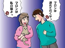 家に帰ったら、愛猫が消えていた！ 連れ去り犯の「母親」から知らされた、“とんでもない行き先”とは？
