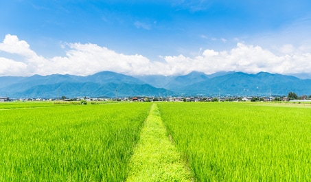  写真はイメージです（以下同じ）