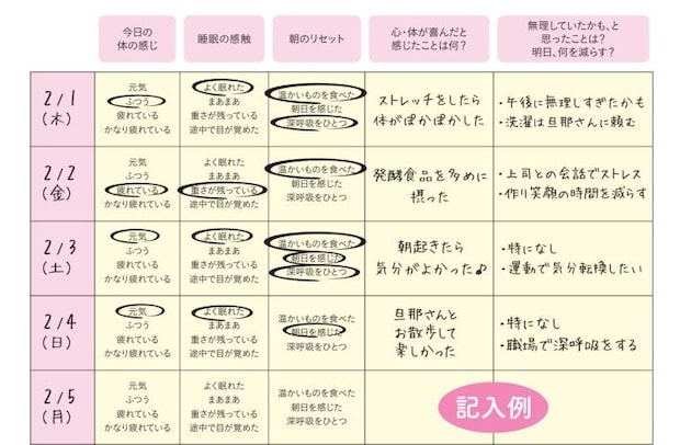  リセットダイアリーの例。同書にフォーマットが載っている