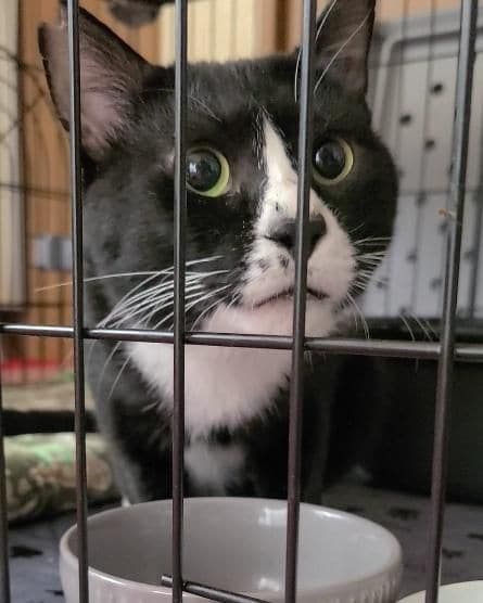  永遠のライバルとなりそうな助六くん