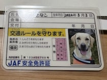 「めっちゃ可愛い！」「よく見ると…」JAFに作ってもらえる“ワンちゃんの免許証”が最高。JAF広報に詳しく聞いてみると