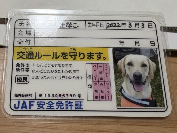 「めっちゃ可愛い!」「よく見ると…」JAFに作ってもらえる“ワンちゃんの免許証”が最高。JAF広報に詳しく聞いてみると