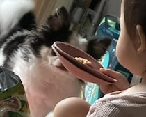 「ねぇwwww」「ママの…」1歳の女の子がいつのまにか“お皿がわり”にしていたモノに爆笑！ママに話を聞いてみた