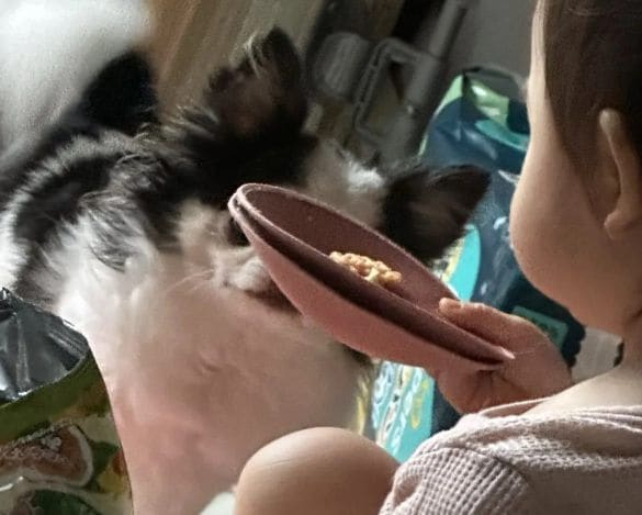 「ねぇwwww」「ママの…」1歳の女の子がいつのまにか“お皿がわり”にしていたモノに爆笑！ママに話を聞いてみた