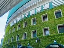なぜタイガースファンは「阪神園芸」に感謝の言葉をかけ続けるのか？ 熱狂的応援だけじゃない“意外なファン心理”