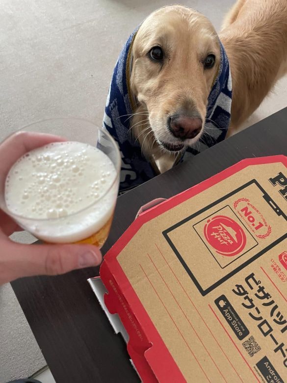  愛犬リリーにタオルをかぶせ、ピザとビールをお供に観戦