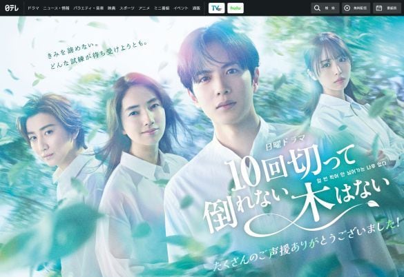  画像：「10回切って倒れない木はない」日本テレビ公式サイトより