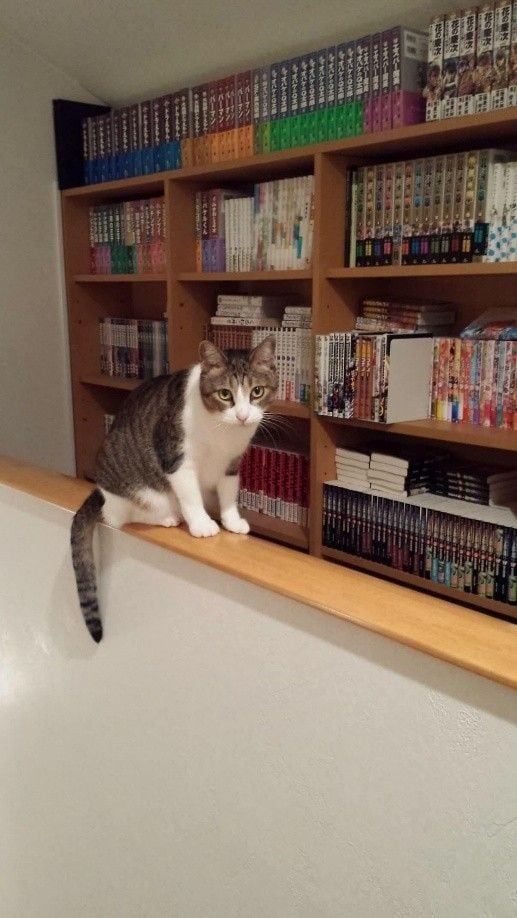 26歳　ポポちゃん