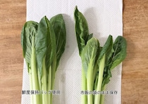 野菜を腐らせる前に買って！ ダイソー110円“鮮度保持バッグ”の実力に驚いた。すぐ傷む野菜もシャキッと長持ち