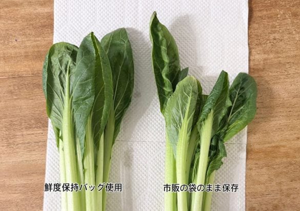 野菜を腐らせる前に買って！ ダイソー110円“鮮度保持バッグ”の実力に驚いた。すぐ傷む野菜もシャキッと長持ち