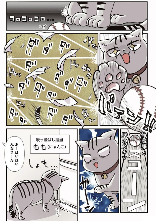 『私だけが頑張る片付けはもうごめんだ』