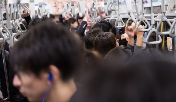  写真はイメージ（以下同じ）