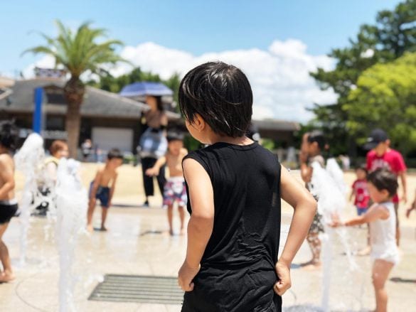  写真はイメージです