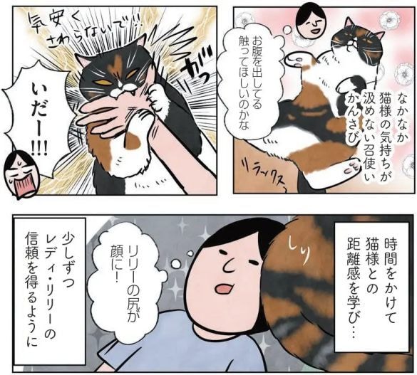  『マダム猫の古民家暮らし』（かんさび著、KADOKAWA）より