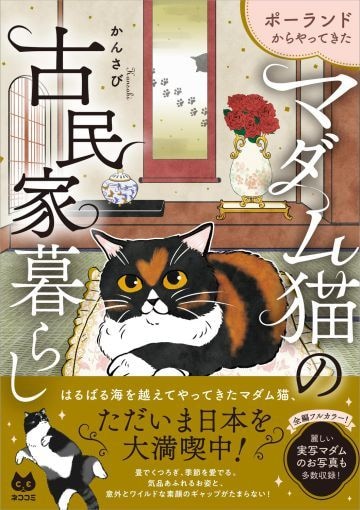 マダム猫の古民家暮らし