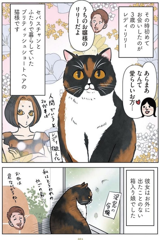 マダム猫の古民家暮らし