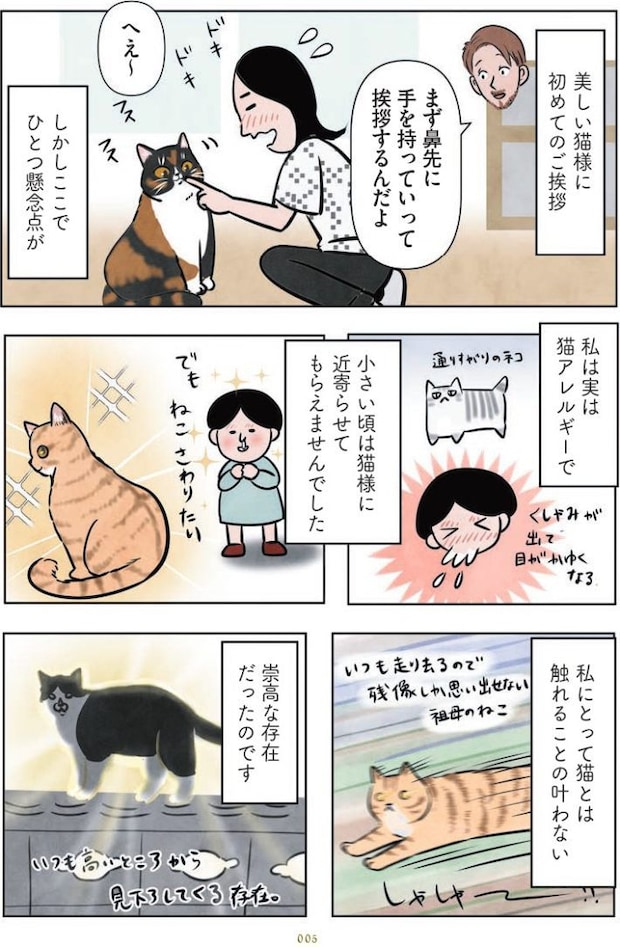 マダム猫の古民家暮らし