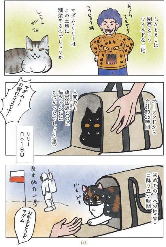 マダム猫の古民家暮らし