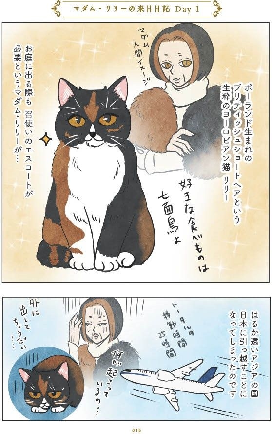 マダム猫の古民家暮らし