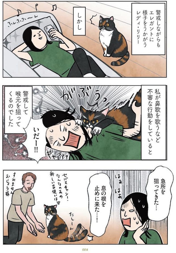 マダム猫の古民家暮らし