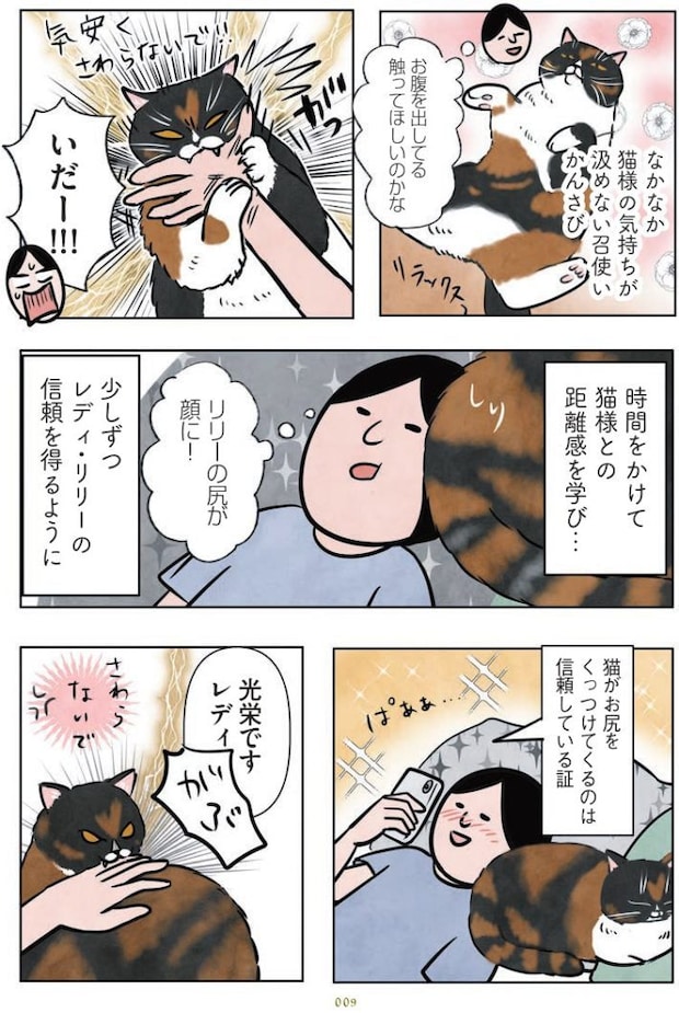 マダム猫の古民家暮らし