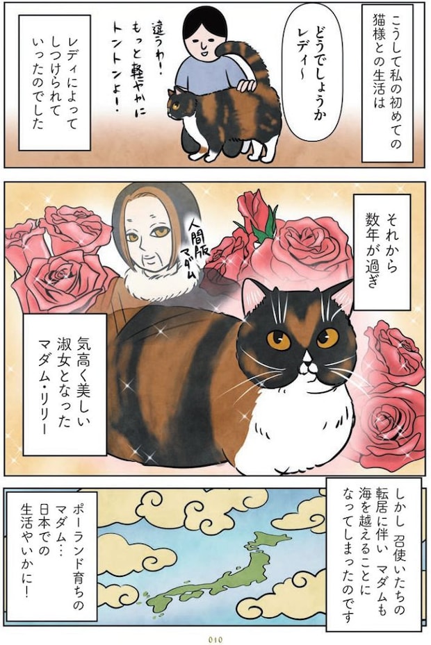 マダム猫の古民家暮らし