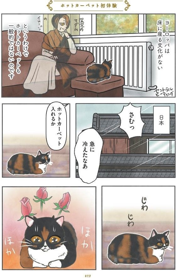 マダム猫の古民家暮らし